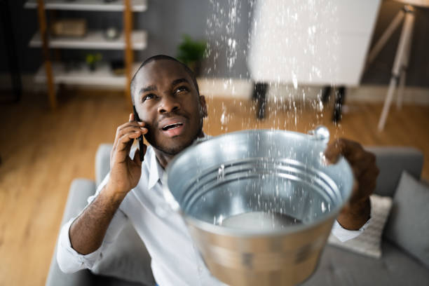 Best Sewage cleanup and water damage restoration  in Dupont, PA