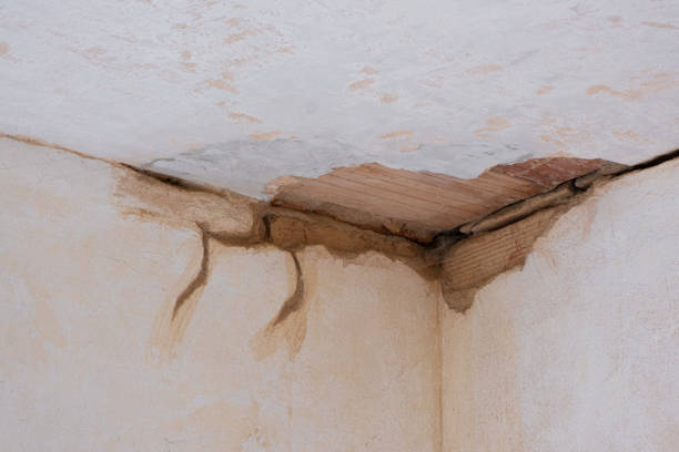 Best 24-hour water damage restoration  in Dupont, PA